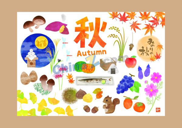 zlogo1708.jpg