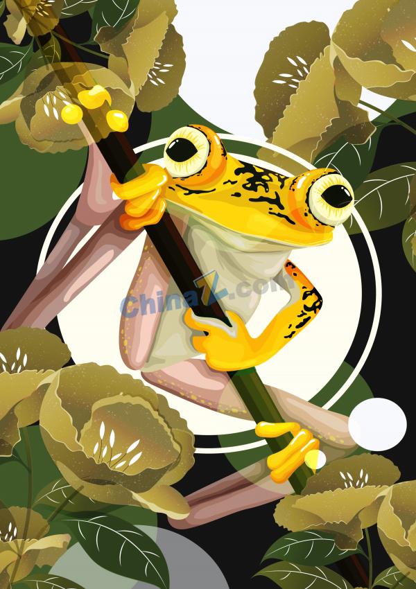 zlogo1775.jpg