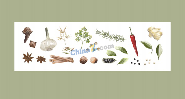zlogo2005.jpg