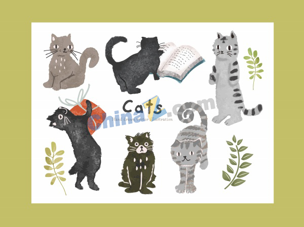 zlogo2050.jpg
