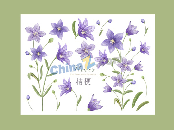 zlogo2052.jpg