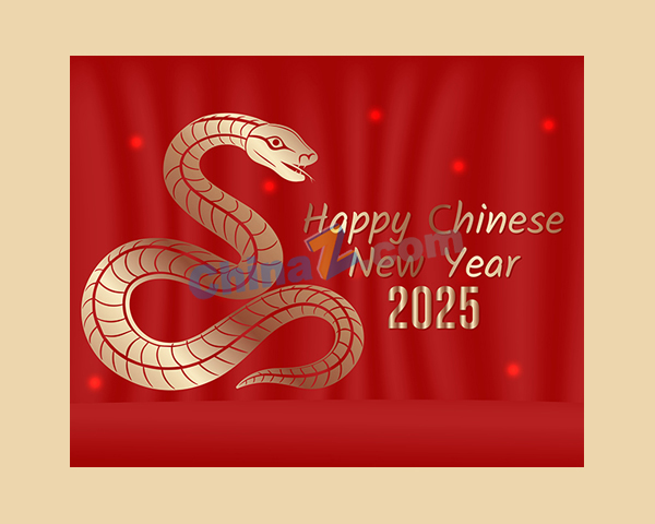 zlogo2405.jpg