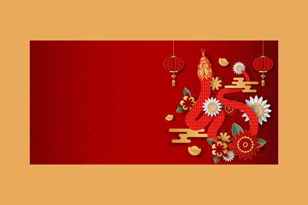 zlogo2579.jpg