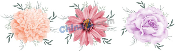 zlogo2653.jpg