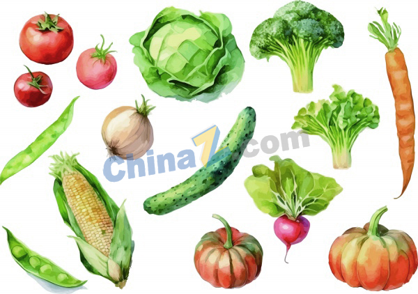 zlogo2661.jpg