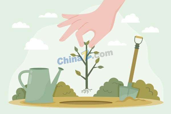zlogo2893.jpg