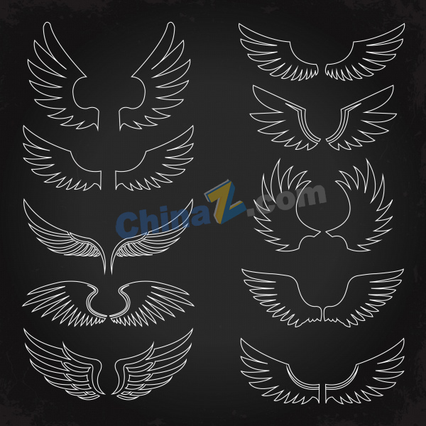 zlogo2902.jpg