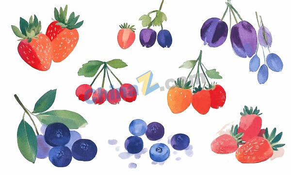 水彩森林浆果插画合集矢量素材