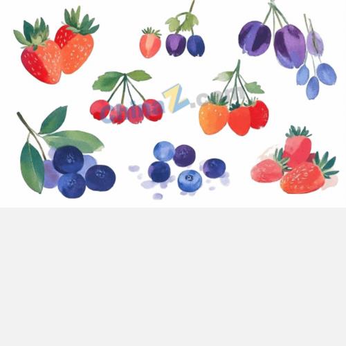 水彩森林浆果插画合集矢量素材