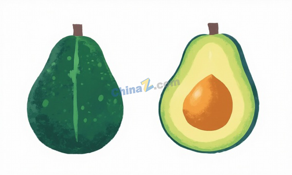 简约现代扁平牛油果矢量插画