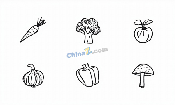 极简黑白蔬菜线稿矢量图标